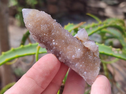 Natural Drusy Spirit Quartz Crystals x 35 From Boekenhouthoek, South Africa - Toprock Gemstones and Minerals 