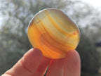 Polished Mix of Multi Mineral Galets x 24 From Madagascar - Toprock Gemstones and Minerals 