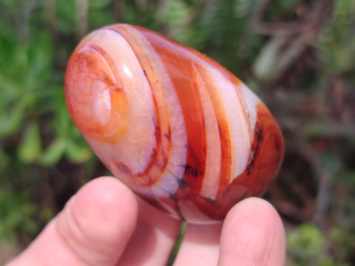 Polished Mix of Multi Mineral Galets x 24 From Madagascar - Toprock Gemstones and Minerals 