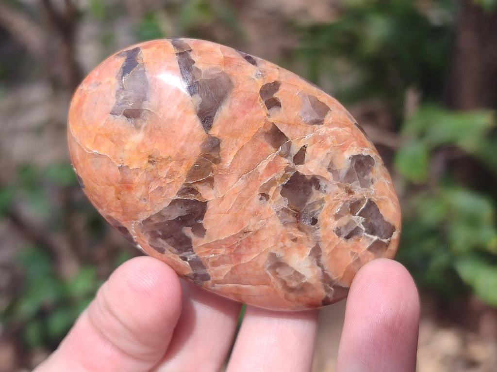 Polished Mix of Multi Mineral Galets x 24 From Madagascar - Toprock Gemstones and Minerals 