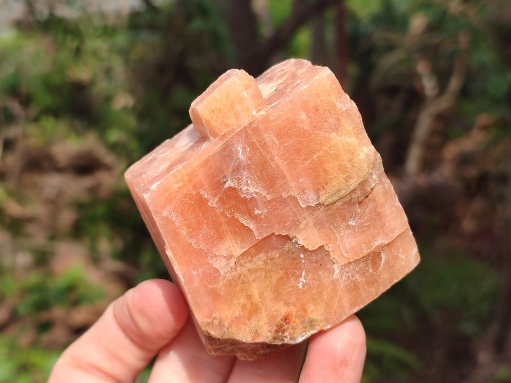 Natural Rhombohedral Sunset Orange Calcite Specimens x 12 From Spitzkop, Namibia - Toprock Gemstones and Minerals 
