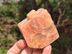 Natural Rhombohedral Sunset Orange Calcite Specimens x 12 From Spitzkop, Namibia - Toprock Gemstones and Minerals 