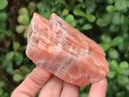 Natural Rhombohedral Sunset Orange Calcite Specimens x 12 From Spitzkop, Namibia - Toprock Gemstones and Minerals 