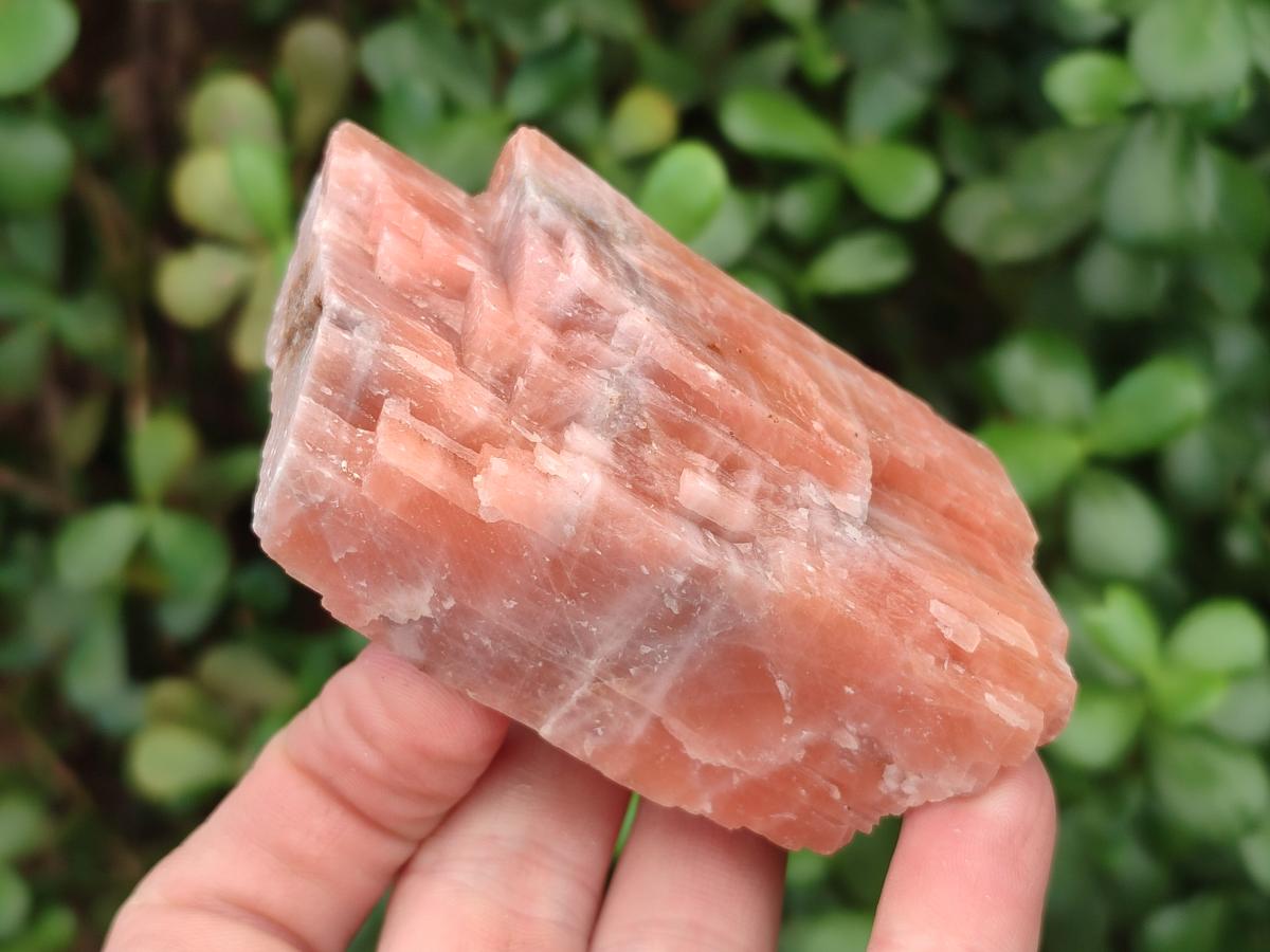 Natural Rhombohedral Sunset Orange Calcite Specimens x 12 From Spitzkop, Namibia - Toprock Gemstones and Minerals 