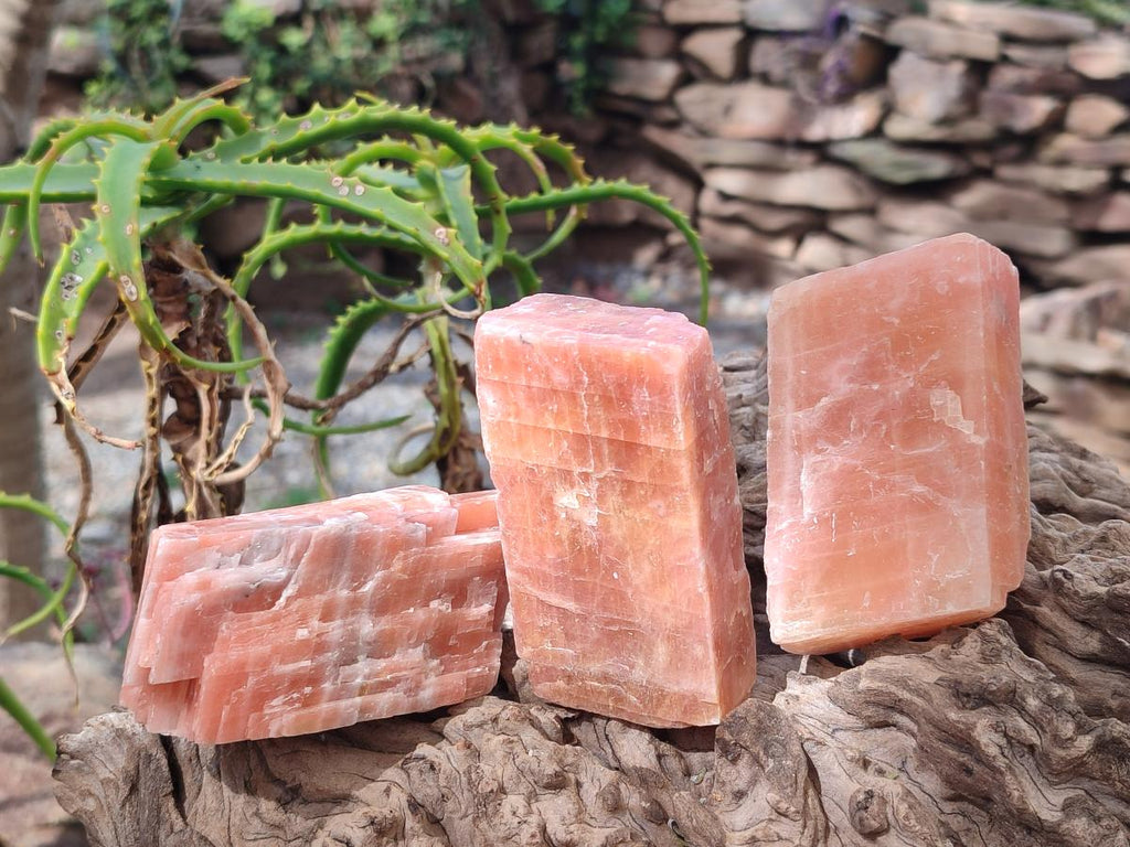 Natural Rhombohedral Sunset Orange Calcite Specimens x 12 From Spitzkop, Namibia - Toprock Gemstones and Minerals 