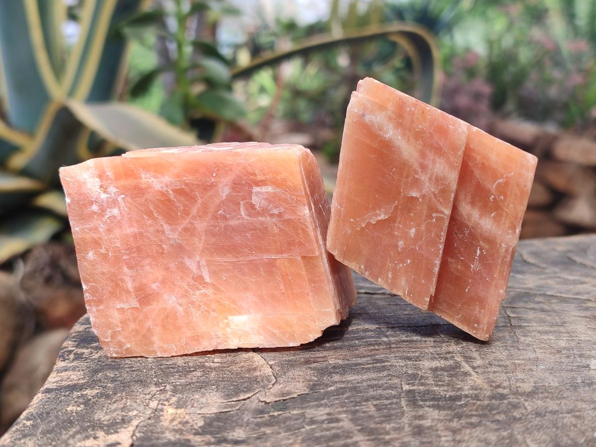 Natural Rhombohedral Sunset Orange Calcite Specimens x 12 From Spitzkop, Namibia - Toprock Gemstones and Minerals 