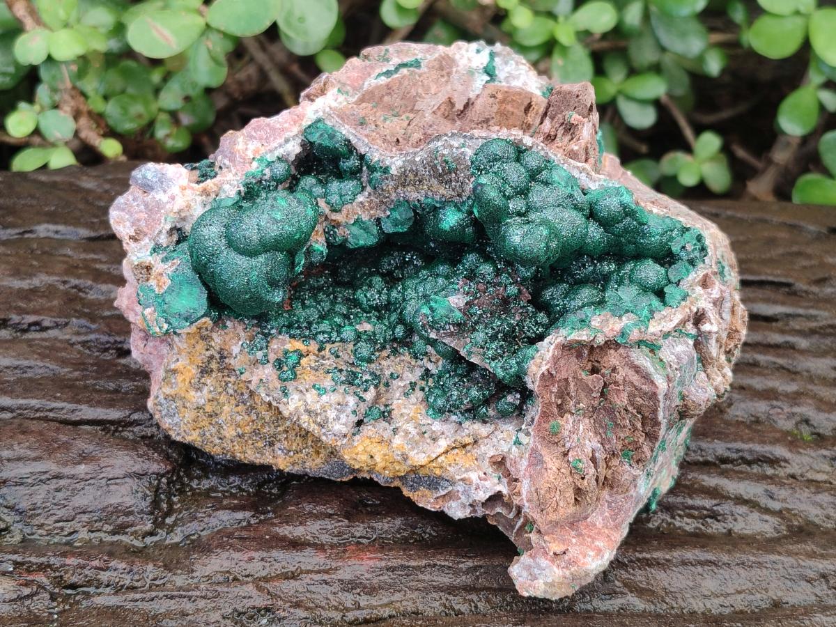 Natural Large Ball Malachite Specimen with Quartz on Dolomite x 1 From Mindingi Mine, Kambove, Congo - Toprock Gemstones and Minerals 