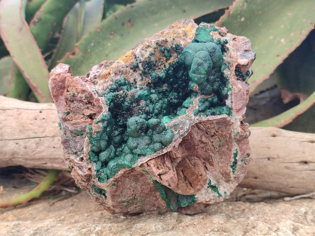 Natural Large Ball Malachite Specimen with Quartz on Dolomite x 1 From Mindingi Mine, Kambove, Congo - Toprock Gemstones and Minerals 