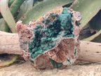 Natural Large Ball Malachite Specimen with Quartz on Dolomite x 1 From Mindingi Mine, Kambove, Congo - Toprock Gemstones and Minerals 
