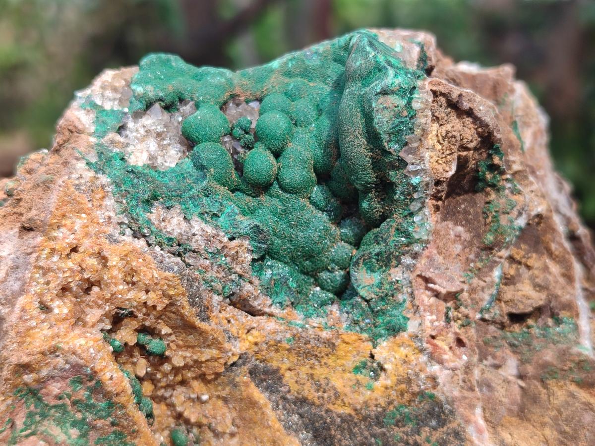 Natural Large Ball Malachite Specimen with Quartz on Dolomite x 1 From Mindingi Mine, Kambove, Congo