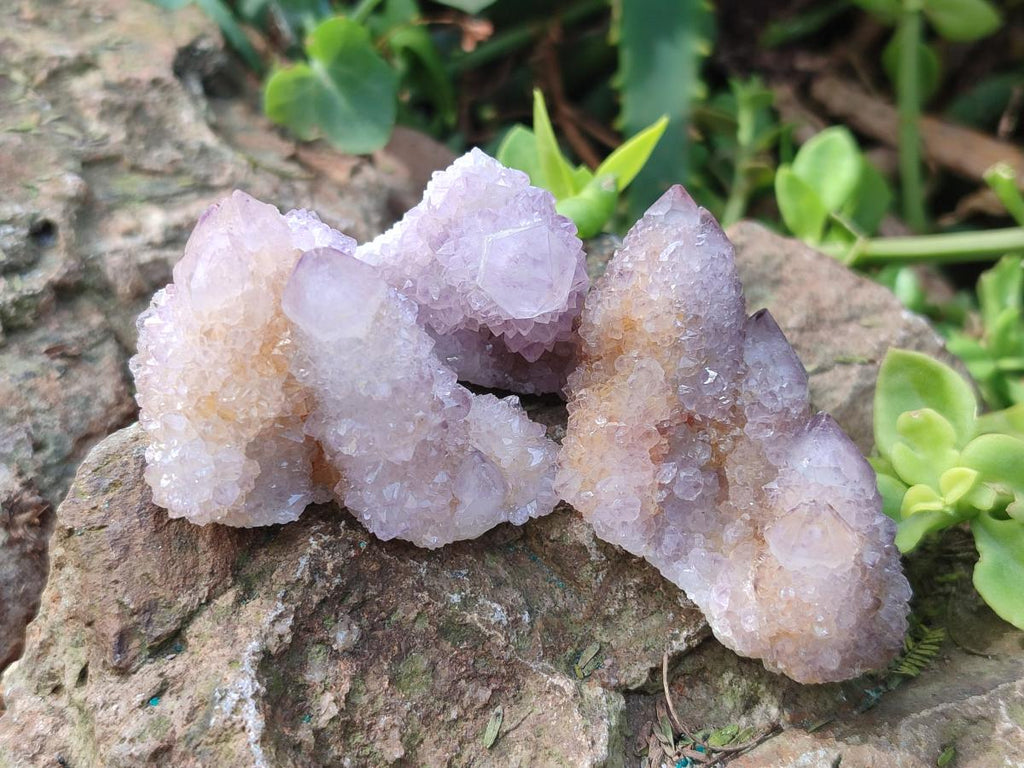 Natural Spirit Amethyst Crystals x 20 From Boekenhouthoek, South Africa - Toprock Gemstones and Minerals 