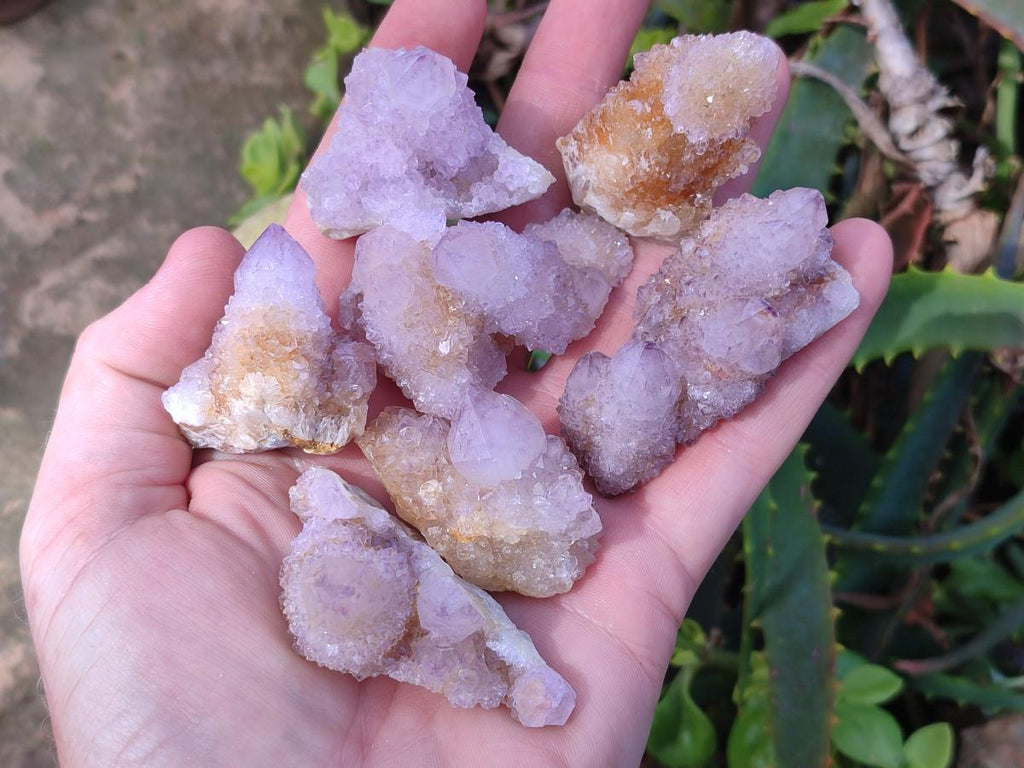 Natural Spirit Amethyst Crystals x 20 From Boekenhouthoek, South Africa - Toprock Gemstones and Minerals 