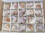 Natural Spirit Amethyst Crystals x 20 From Boekenhouthoek, South Africa - Toprock Gemstones and Minerals 