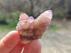 Natural Spirit Amethyst Crystals x 20 From Boekenhouthoek, South Africa - Toprock Gemstones and Minerals 