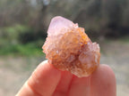 Natural Spirit Amethyst Crystals x 20 From Boekenhouthoek, South Africa - Toprock Gemstones and Minerals 