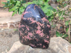 Polished Large Rhodonite Standing Display Piece x 1 From Ambindavato, Madagascar - Toprock Gemstones and Minerals 