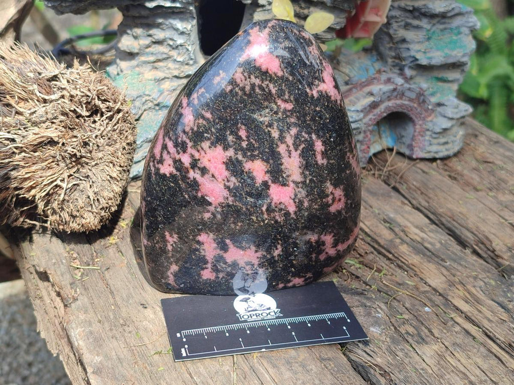 Polished Large Rhodonite Standing Display Piece x 1 From Ambindavato, Madagascar - Toprock Gemstones and Minerals 