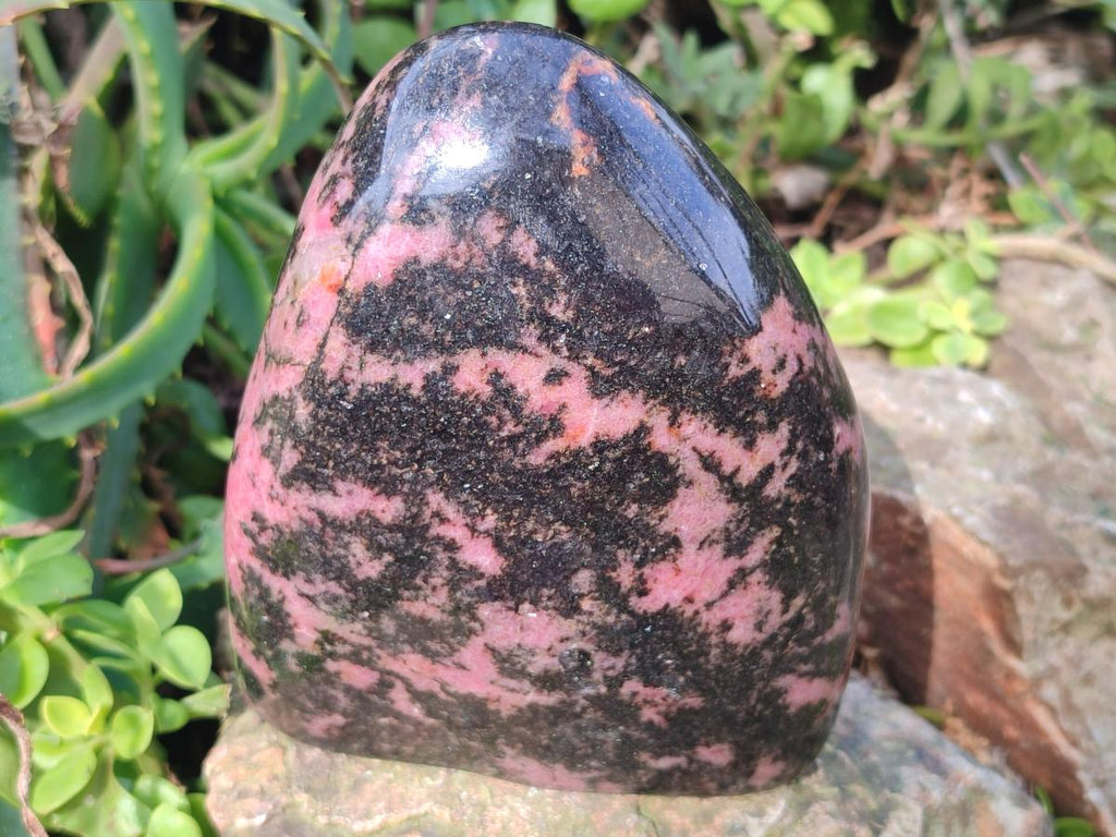 Polished Large Rhodonite Standing Display Piece x 1 From Ambindavato, Madagascar - Toprock Gemstones and Minerals 