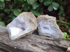 Natural Blue Lace Agate Specimens x 16 From Nsanje, Malawi - Toprock Gemstones and Minerals 
