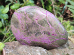 Polished Stichtite Free Form and Standing Display Pieces x 3 From Barberton, South Africa - Toprock Gemstones and Minerals 