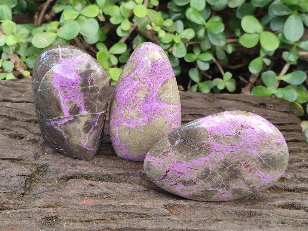 Polished Stichtite Free Form and Standing Display Pieces x 3 From Barberton, South Africa - Toprock Gemstones and Minerals 