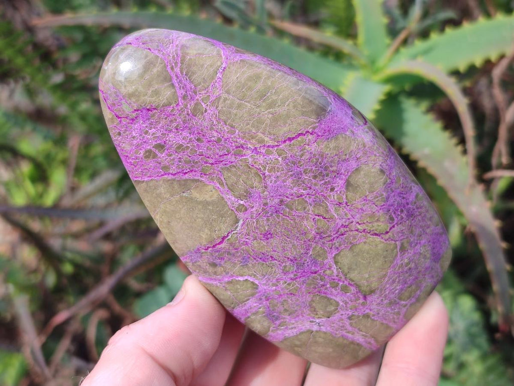 Polished Stichtite Free Form and Standing Display Pieces x 3 From Barberton, South Africa - Toprock Gemstones and Minerals 
