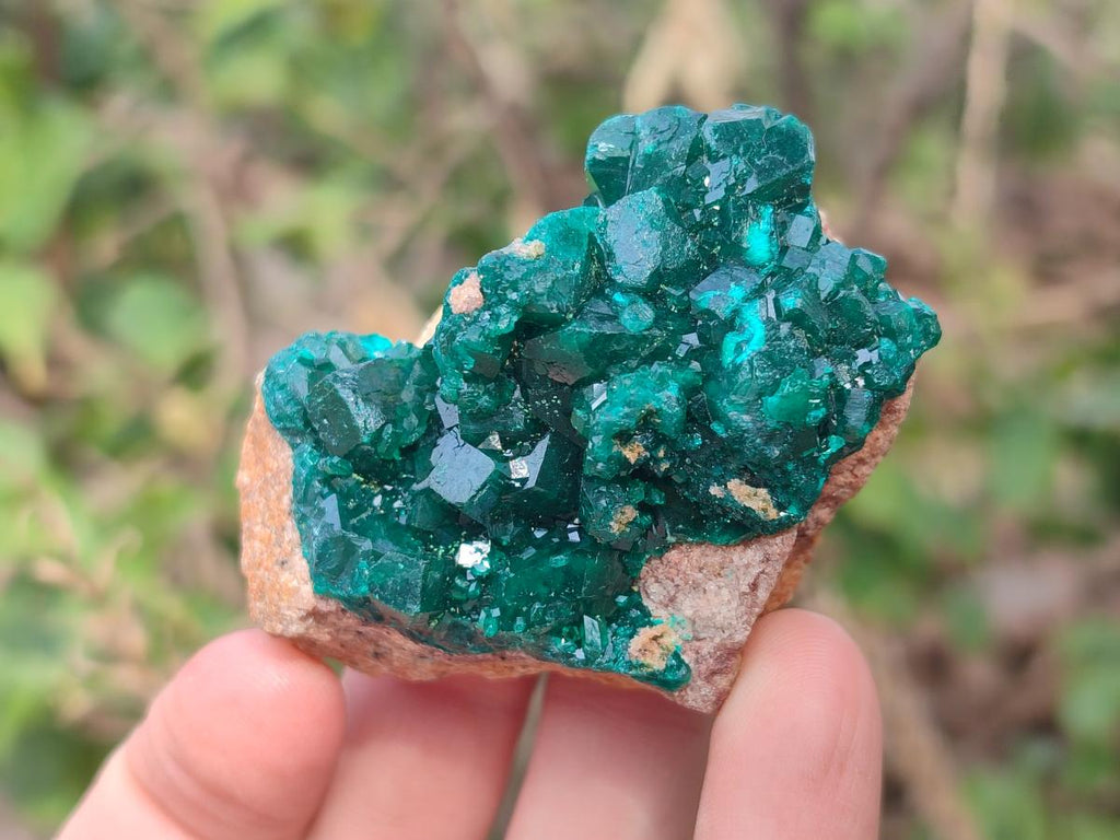 Natural Dioptase Specimens on Dolomite Matrix x 6 From Likasi, Congo - Toprock Gemstones and Minerals 