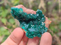 Natural Dioptase Specimens on Dolomite Matrix x 6 From Likasi, Congo - Toprock Gemstones and Minerals 
