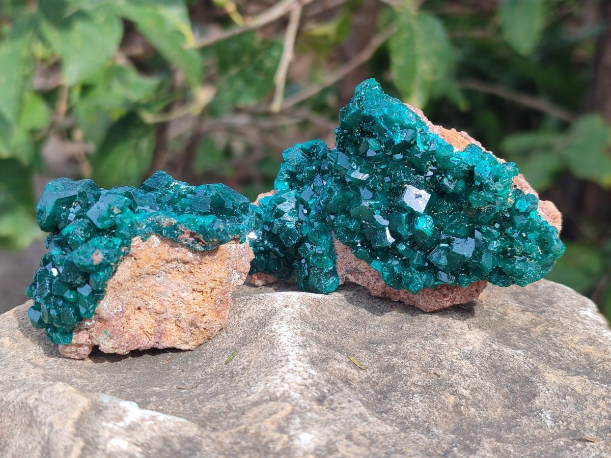 Natural Dioptase Specimens on Dolomite Matrix x 6 From Likasi, Congo - Toprock Gemstones and Minerals 