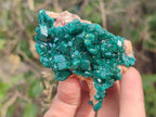 Natural Dioptase Specimens on Dolomite Matrix x 6 From Likasi, Congo - Toprock Gemstones and Minerals 