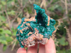 Natural Dioptase Specimens on Dolomite Matrix x 6 From Likasi, Congo - Toprock Gemstones and Minerals 