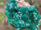 Natural Dioptase Specimens on Dolomite Matrix x 6 From Likasi, Congo - Toprock Gemstones and Minerals 