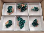Natural Dioptase Specimens on Dolomite Matrix x 6 From Likasi, Congo - Toprock Gemstones and Minerals 