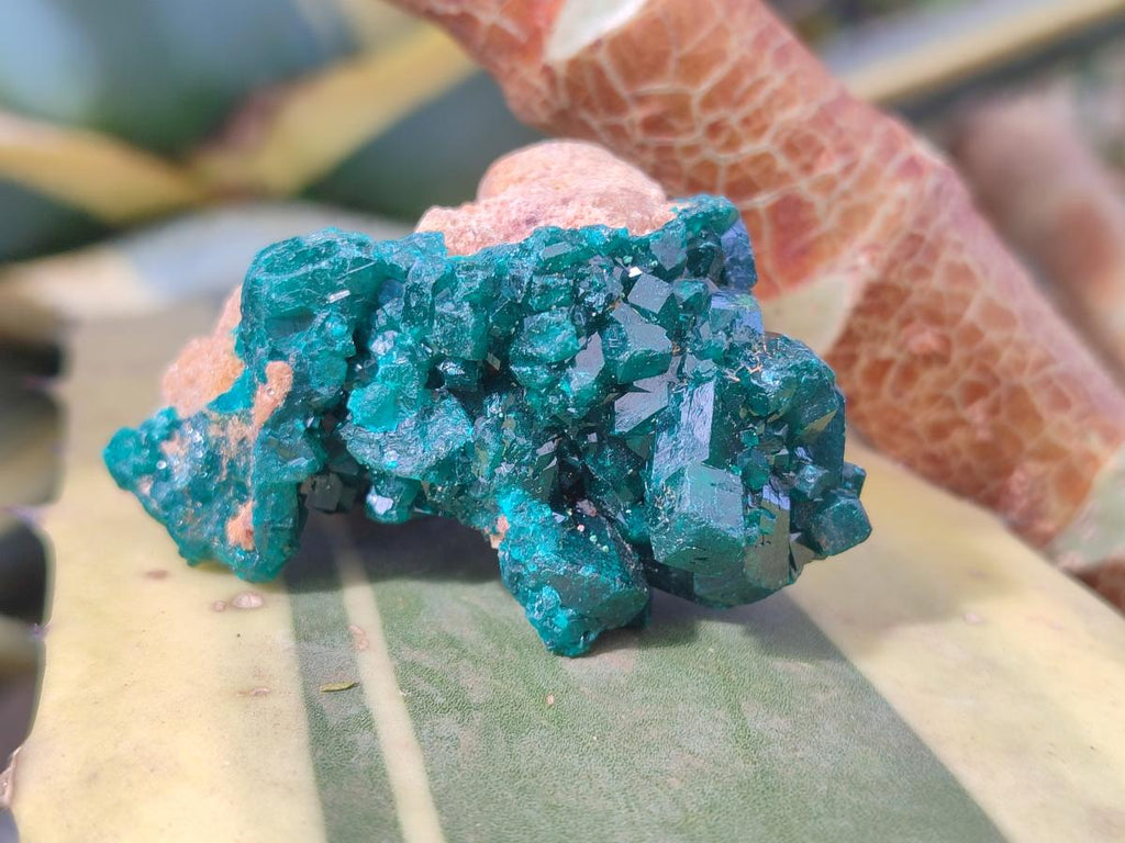 Natural Dioptase Specimens on Dolomite Matrix x 6 From Likasi, Congo - Toprock Gemstones and Minerals 