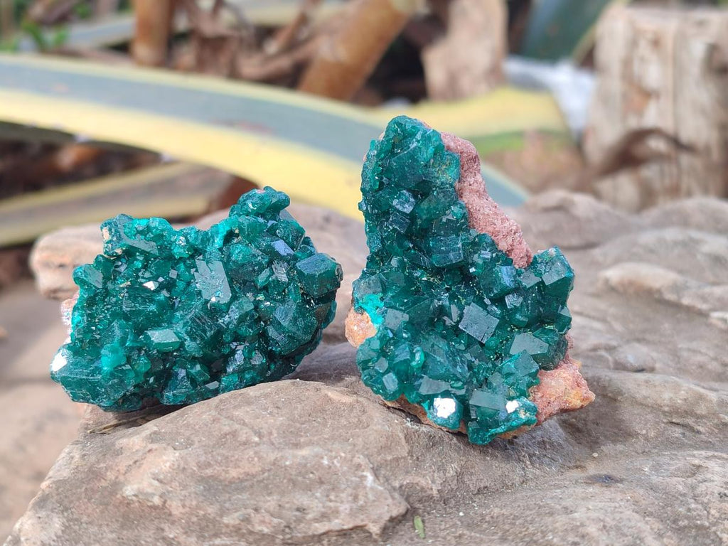 Natural Dioptase Specimens on Dolomite Matrix x 6 From Likasi, Congo - Toprock Gemstones and Minerals 