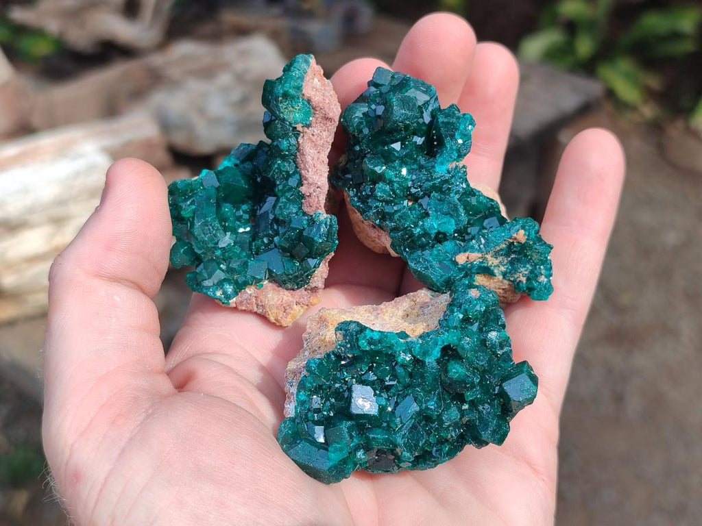 Natural Dioptase Specimens on Dolomite Matrix x 6 From Likasi, Congo - Toprock Gemstones and Minerals 