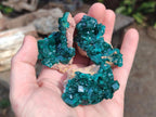 Natural Dioptase Specimens on Dolomite Matrix x 6 From Likasi, Congo - Toprock Gemstones and Minerals 