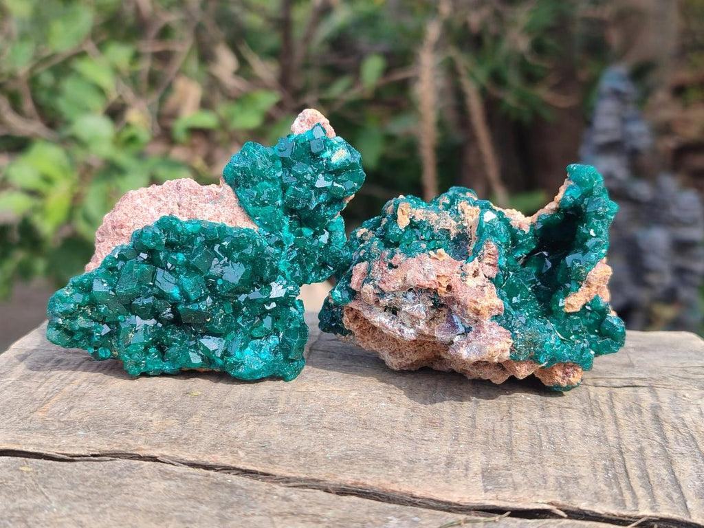 Natural Dioptase Specimens on Dolomite Matrix x 6 From Likasi, Congo - Toprock Gemstones and Minerals 