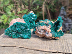 Natural Dioptase Specimens on Dolomite Matrix x 6 From Likasi, Congo - Toprock Gemstones and Minerals 