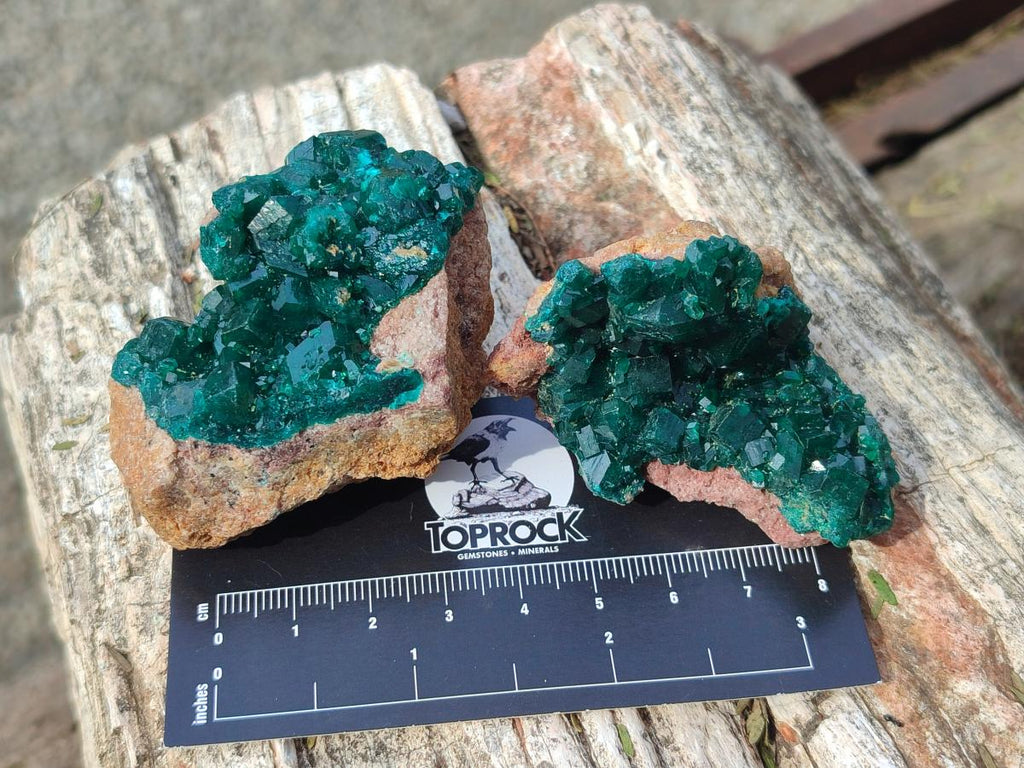 Natural Dioptase Specimens on Dolomite Matrix x 6 From Likasi, Congo - Toprock Gemstones and Minerals 