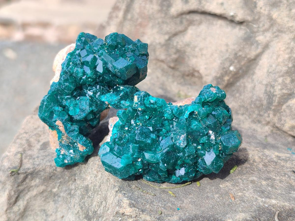 Natural Dioptase Specimens on Dolomite Matrix x 6 From Likasi, Congo - Toprock Gemstones and Minerals 