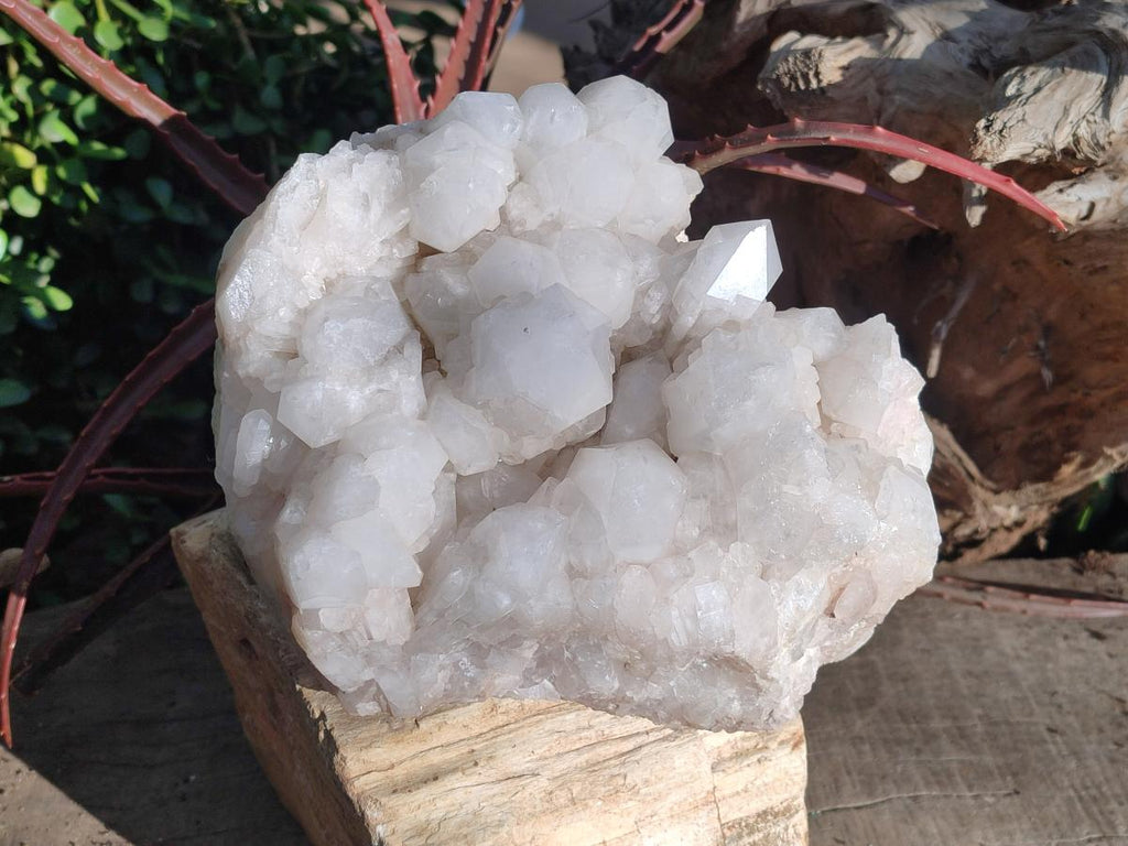 Natural XL Cascading "Anananas" Candle Quartz Clusters x 2 From Antsirabe, Madagascar - Toprock Gemstones and Minerals 