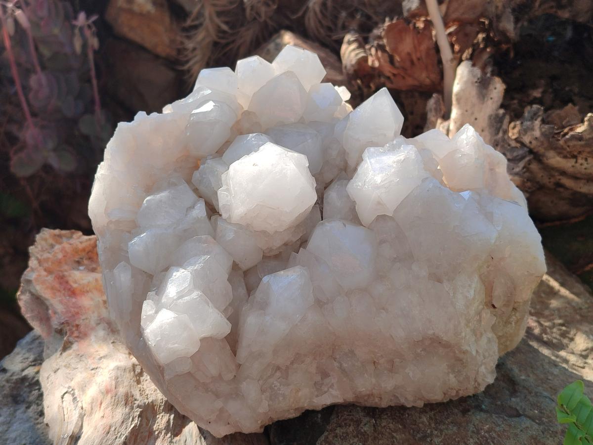 Natural XL Cascading "Anananas" Candle Quartz Clusters x 2 From Antsirabe, Madagascar - Toprock Gemstones and Minerals 