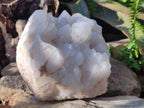 Natural XL Cascading "Anananas" Candle Quartz Clusters x 2 From Antsirabe, Madagascar - Toprock Gemstones and Minerals 