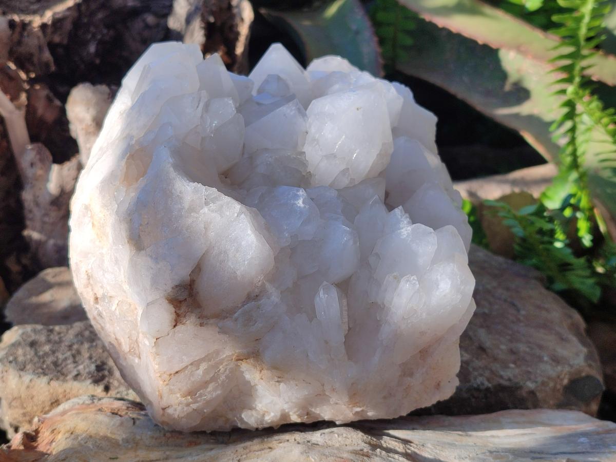Natural XL Cascading "Anananas" Candle Quartz Clusters x 2 From Antsirabe, Madagascar - Toprock Gemstones and Minerals 