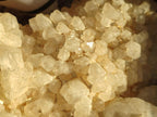 Natural XL Cascading "Anananas" Candle Quartz Clusters x 2 From Antsirabe, Madagascar - Toprock Gemstones and Minerals 