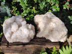 Natural XL Cascading "Anananas" Candle Quartz Clusters x 2 From Antsirabe, Madagascar - Toprock Gemstones and Minerals 