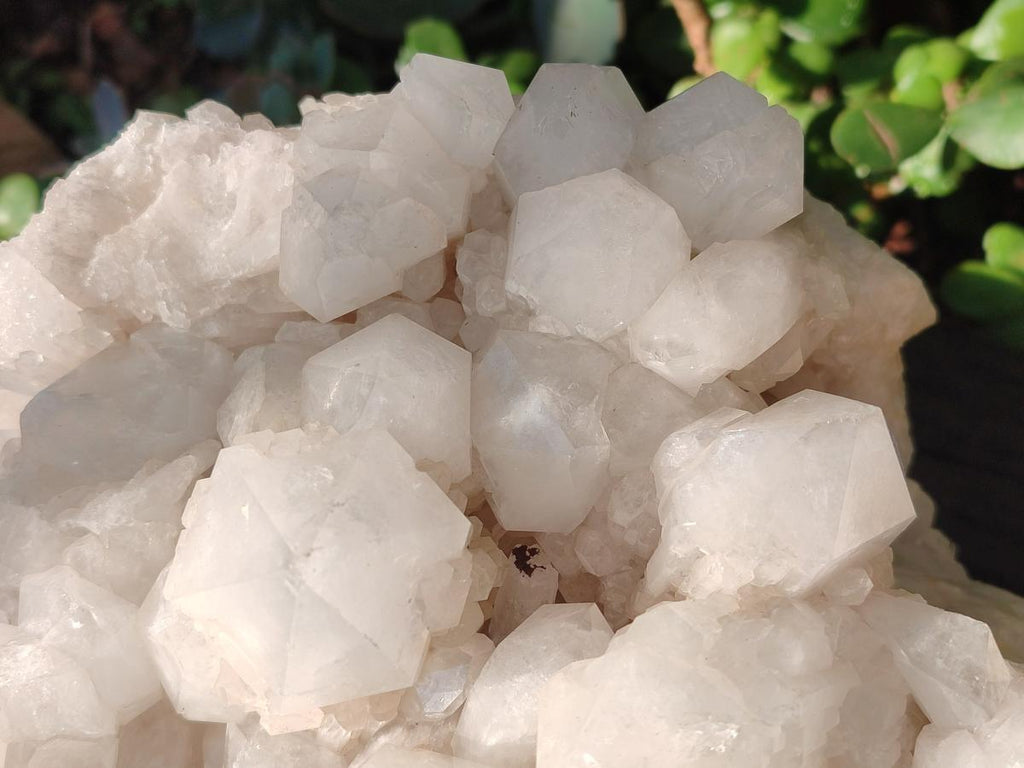 Natural XL Cascading "Anananas" Candle Quartz Clusters x 2 From Antsirabe, Madagascar - Toprock Gemstones and Minerals 