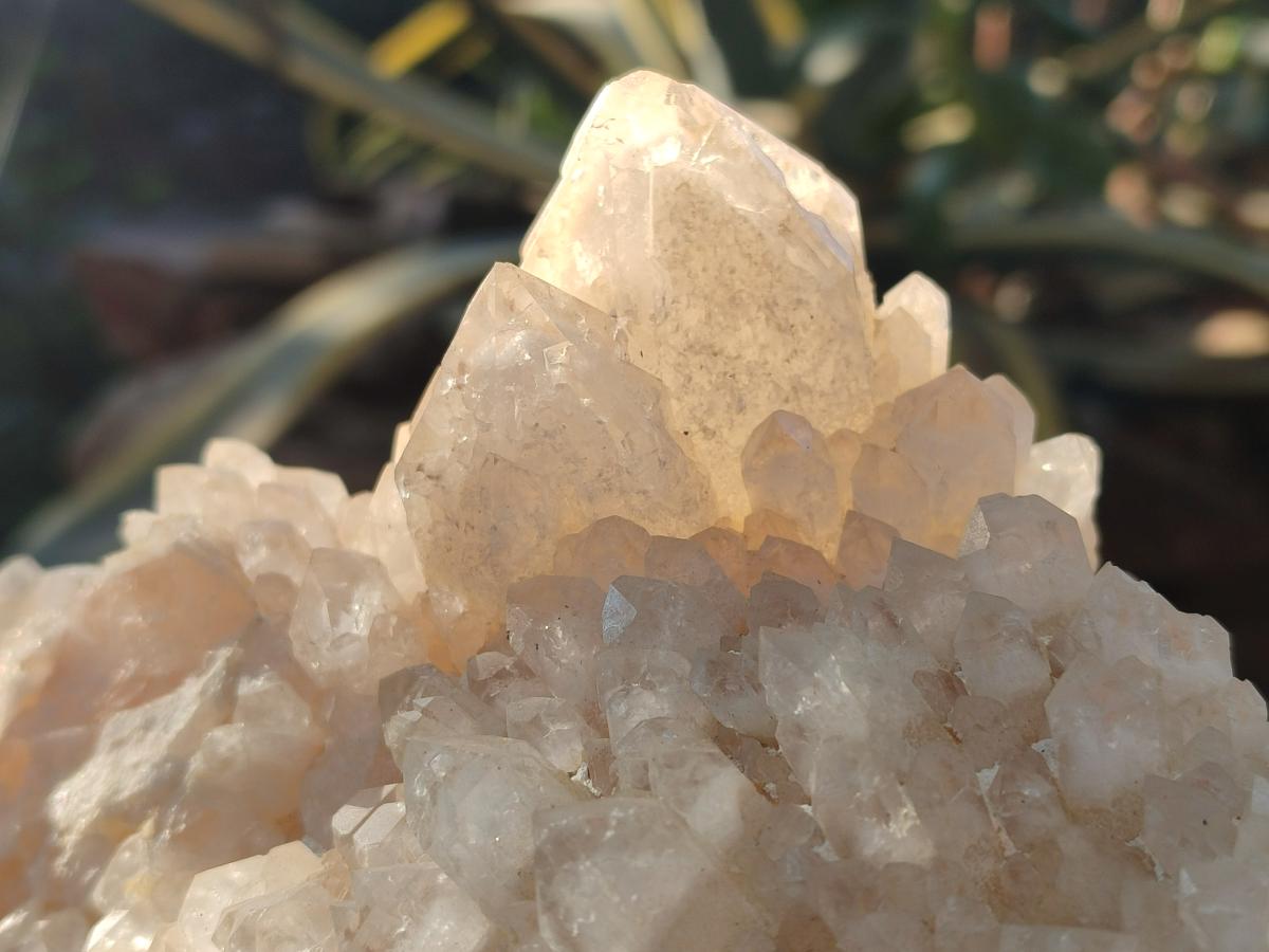 Natural XL Cascading "Anananas" Candle Quartz Clusters x 2 From Antsirabe, Madagascar - Toprock Gemstones and Minerals 