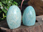 Polished Amazonite Standing Display Pieces x 12 From Madagascar - Toprock Gemstones and Minerals 